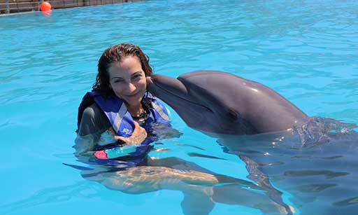 home-dolphin-in-cabo-1